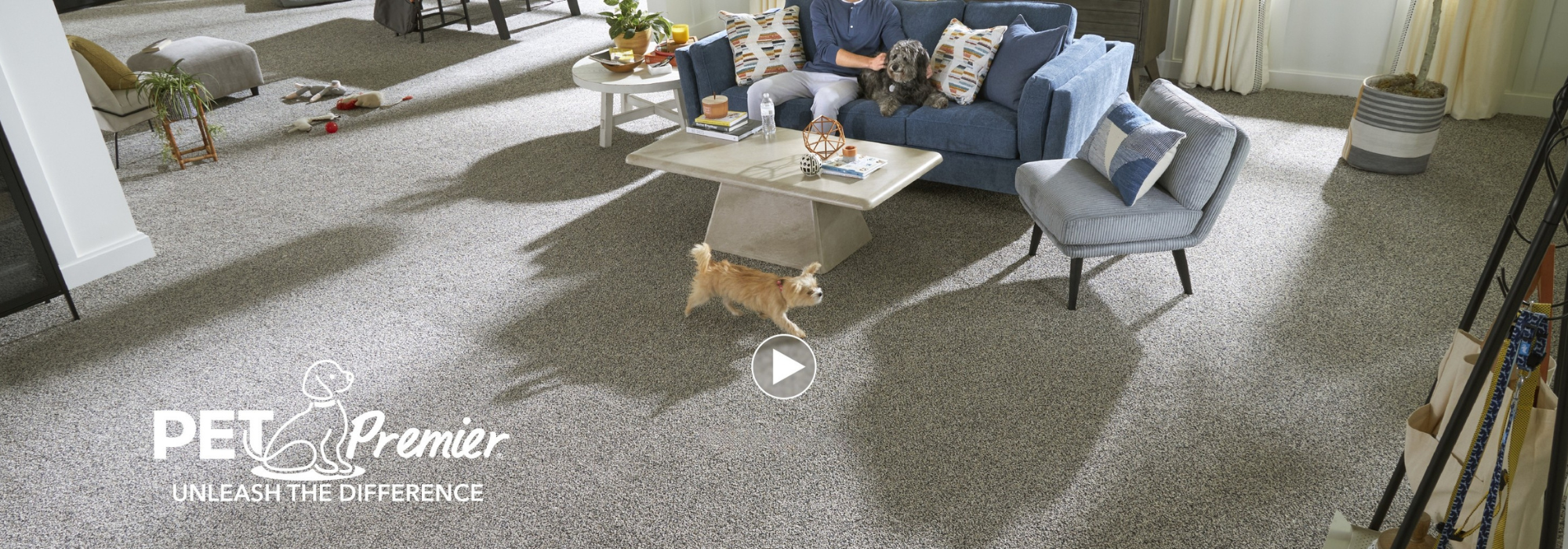 PETPremier - unleash the difference